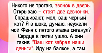 15 историй о том, как питомцы делают каждый день особенным