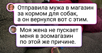 20+ ярких примеров того, что мужчины могут создать не менее крепкую связь с питомцами, чем женщины