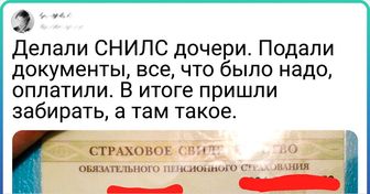 20+ человек, которые не боятся ошибаться и поднимают настроение всему интернету