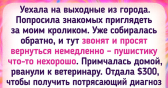 20+ любопытных историй, в которых домашние питомцы смогли блеснуть интеллектом