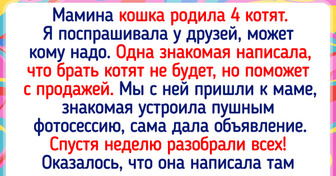 20 объявлений и вывесок, авторы которых точно знают, как привлечь внимание