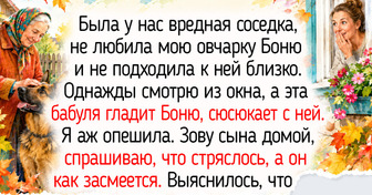 16 историй об умных домашних животных, которые радуют душу, словно пес, скачущий в листьях