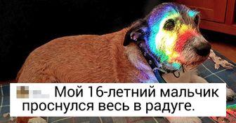 20+ живых напоминаний о том, как важно ценить своих питомцев, пока они еще рядом