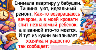 15 историй о съемном жилье, где сюрпризы начинались уже с порога