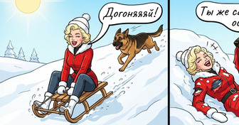 Мы посмотрели на мир глазами наших собак — и, похоже, они угорают над нами