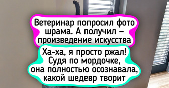 25 питомцев, которые уже готовят иск в суд на своих хозяев за эти позорные фотографии