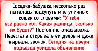 14 объявлений, которые поднимают настроение лучше любого анекдота