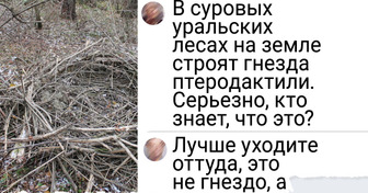 13 человек, которые просто пошли отдохнуть в лес, а наткнулись на диво дивное