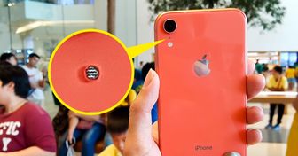 11 обычных вещей, скрытые возможности которых большинство не использует. А зря