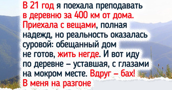 16 хозяев, к которым нежданно-негаданно прибилось меховое чудо