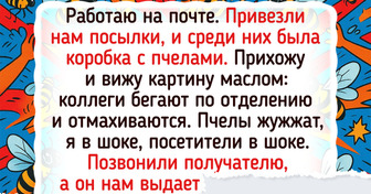 19 историй о почте, в которых есть место есть и чуду, и абсурду