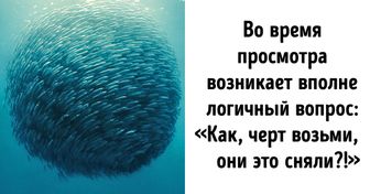 10 документальных фильмов, которые перевернут ваши устоявшиеся взгляды на мир