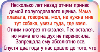 20+ питомцев, которые сумели очаровать даже тех, кто был против их появления