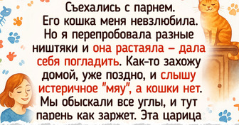20 примеров того, как питомцы воспитали своих хозяев, а те даже не заметили подвоха