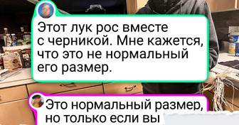 17 фото, взглянув на которые хочется воскликнуть «Да не может быть!»