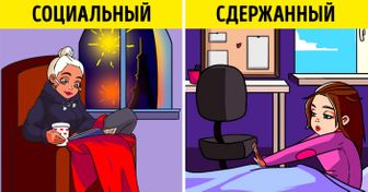 Интровертов разделили на 4 группы, и это многое объясняет
