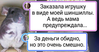 15 человек, у которых ожидание и реальность настолько не совпали, что их шок был в шоке