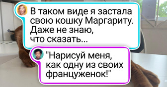 25 фото, доказывающих, что кот — это не питомец, а очень странный сосед, который не платит за аренду