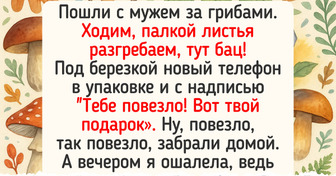 17 потешных историй, которые начались со слов: «Пошли в лес по грибы!»