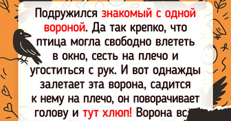 12 историй, доказывающих, что животные тоже способны на доброту и заботу
