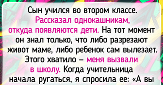 18 доказательств того, что порой в школе учится не только школьник, но и вся его семья