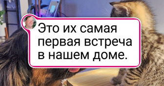 20+ фото, которые согревают получше весеннего солнышка