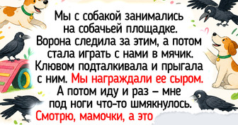 15+ теплых историй и фото о том, что животные помнят добро и умеют дружить