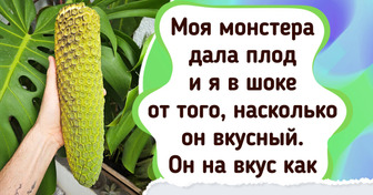 18 талантливых садоводов, у которых и старая швабра росток пустит