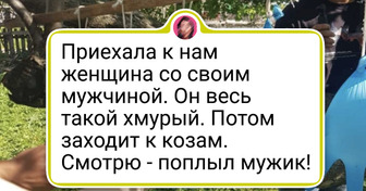 Как я плюнула на все и уехала в деревню делать домашний сыр, но теперь света белого не вижу