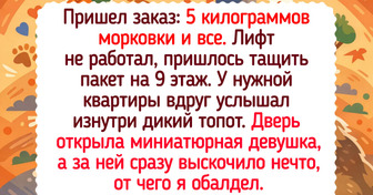 15 рассказов от курьеров, у которых что ни адрес — то новая серия захватывающего сериала