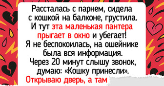 14 историй о питомцах, которые привели хозяев к настоящей любви