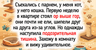 15+ примеров дружбы животных, от которых хочется улыбнуться всему миру