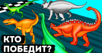 Каких динозавров вы смогли бы обогнать в соревнованиях по бегу?