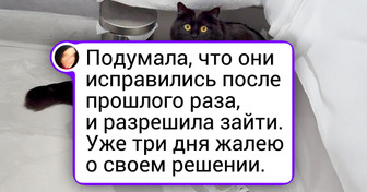 20+ пушистиков, которым надоело притворяться милашками, и это просто умора