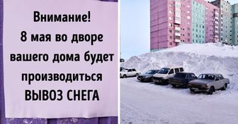 15 вещей, увидеть которые — большая редкость. Но мы их вам покажем