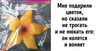 20+ случаев, когда развязка оказалась гораздо занимательнее самой истории