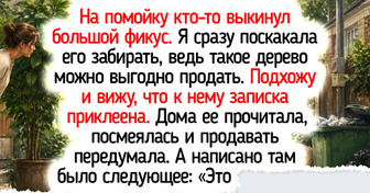 22 светлых истории и фото от цветоводов, чьи любимые растения подарили им ароматы лета и кучу маленьких радостей