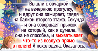20 историй о том, как одна прогулка с питомцем подкинула сюжет как в комедии