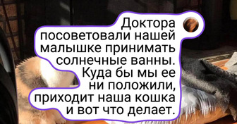 20+ фотографий, на которых запечатлено самое настоящее, созданное своими руками, счастье