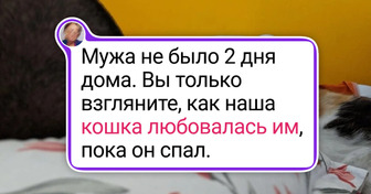 25 домашних любимцев, которые могут и поддержать, и рассмешить своих двуногих