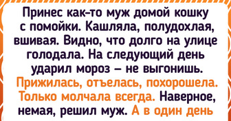 20+ усатых, которым посчастливилось встретить людей с добрым сердцем