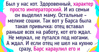 15+ хвостатых, которые превращают повседневную жизнь в приключение