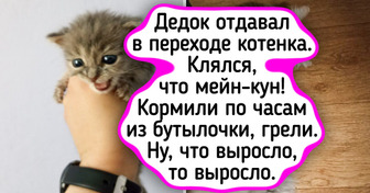 16 фото «до» и «после», которые доказывают, что любовь и забота творят чудеса