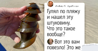 Яйца 8 птиц и рыб, которые поднимают настроение и запоминаются надолго