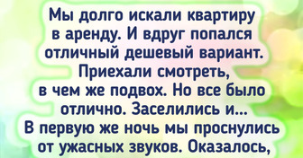 10 животных, которых мы считаем милыми, а они таят в себе немало сюрпризов