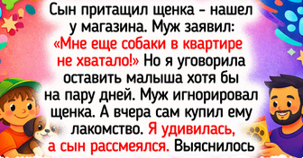 18 светлых историй о том, как бездомные животные принесли новым владельцам радость и уют