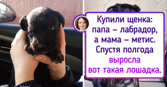 18 питомцев, которые сначала помещались на ладошке, а теперь им и полкровати мало