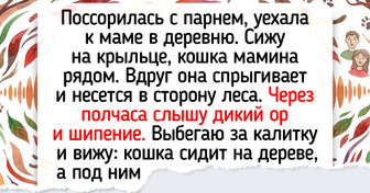 16 душевных историй о питомцах, которые и смекалку вовремя проявят, и поддержат в трудный час