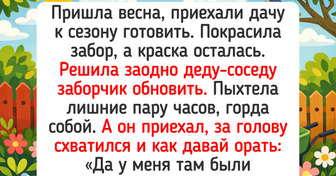15 историй о дачных буднях, где разворачиваются такие сюжеты, что любой сериал отдыхает
