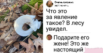 6 дивных природных явлений, которые можно встретить осенью